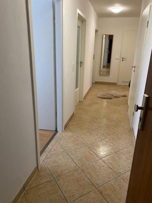 Augsburger Wohnung In Klinikum-Naehe מראה חיצוני תמונה